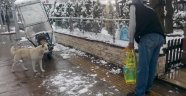 Sokak Hayvanları Unutulmadı