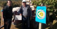 Üzüm Üreticilerine EKÜY Sertifikası Verildi