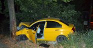 Virajı Alamayan Ticari Taksi Yol Kenarındaki Ağaca Çarptı